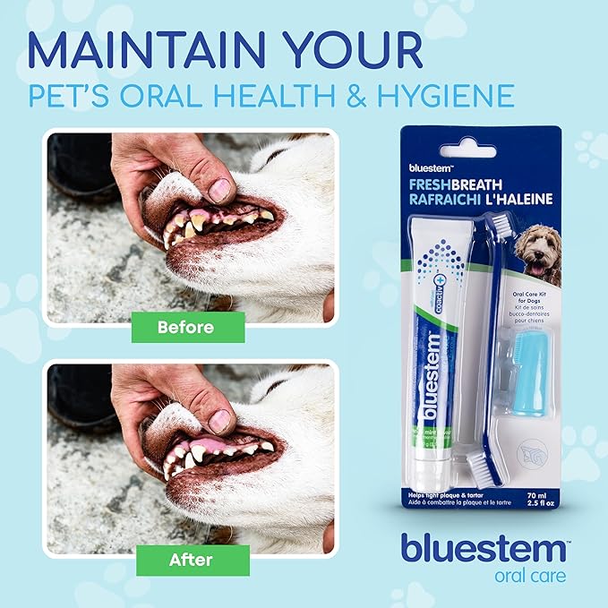 Bluestem Dog Tooth Brushing Kit - Dog Toothpaste with Coactiv+ Technology to Reduce Tartar Buildup - Easy to Use Dog Teeth Cleaning Kit - Sticky and Long-Lasting, Vanilla Mint Flavor