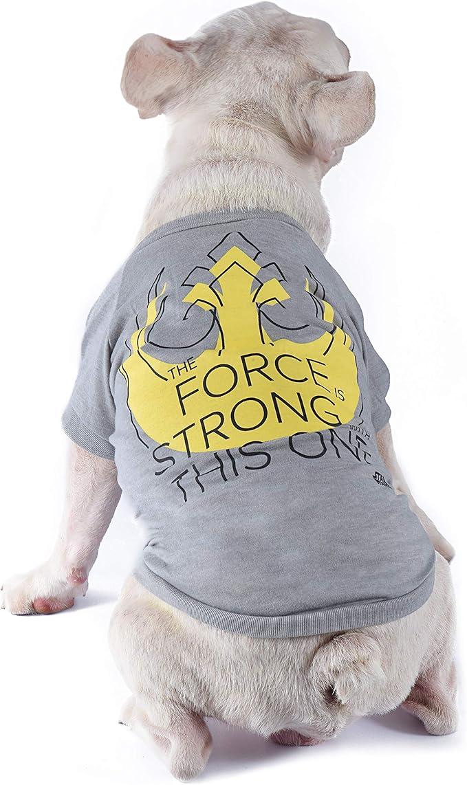 Star Wars for Pets "The force Is Strong With This One" Dog Tee | Star Wars Dog Shirt for Small Dogs | Size Small | Soft, Cute, and Comfortable Dog Clothing and Apparel