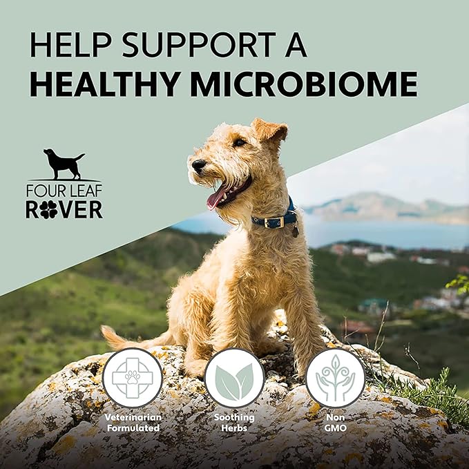 Yeast Guard - Dog Gut Health Probiotics Support Powder - Organic Herbs for Flora and Immune Support - 7 to 60 Day Supply, Depending on Dog’s Weight - Vet Formulated - for All Breeds