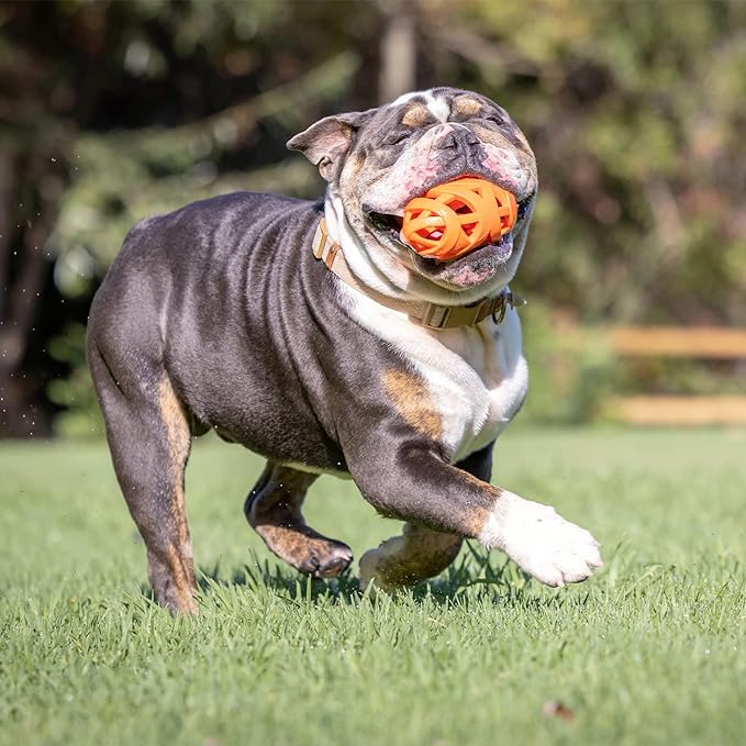 Chuckit Air Fetch Football Dog Toy, Orange