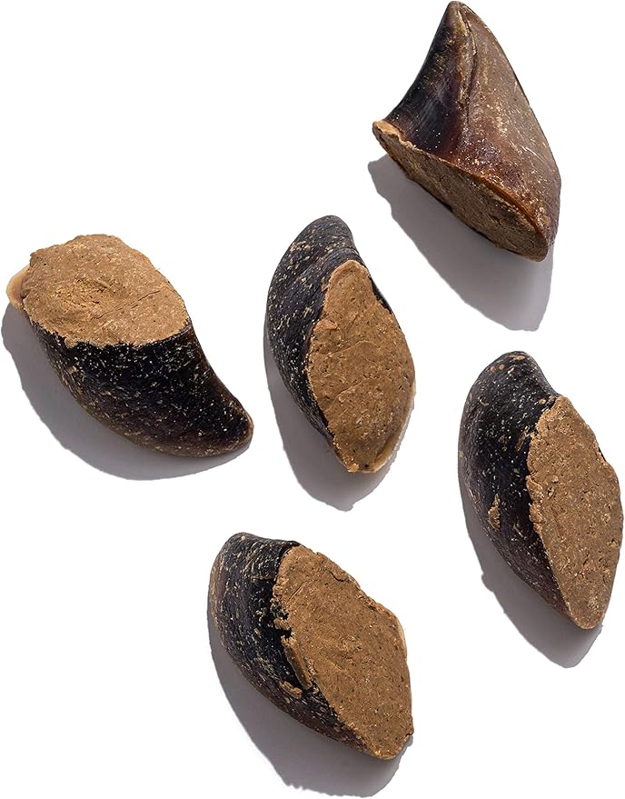 Jack&Pup Filled Cow Hooves for Dogs; Stuffed Dog Chew Hoofs (5 Pack) Cow Hoofs for Dogs. Natural Dog Chews, Filled Dog Bones (Bully Stick Flavor)