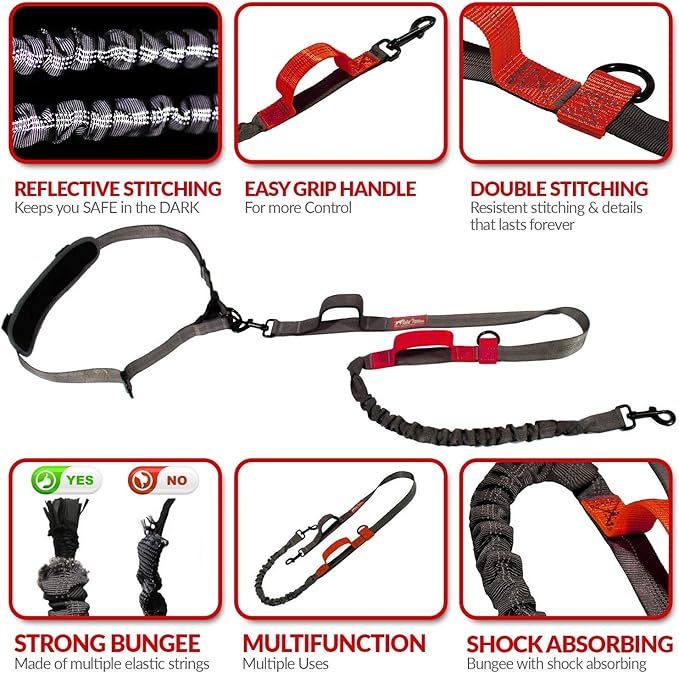 Hands Free Bungee Leash + Dual Dog Leash Coupler Kit Multifunctional + Retractable Traffic Jogging Hiking Leash & Reflective Pet Leash • Adjustable Body System + Padded Handles • Take Yankee