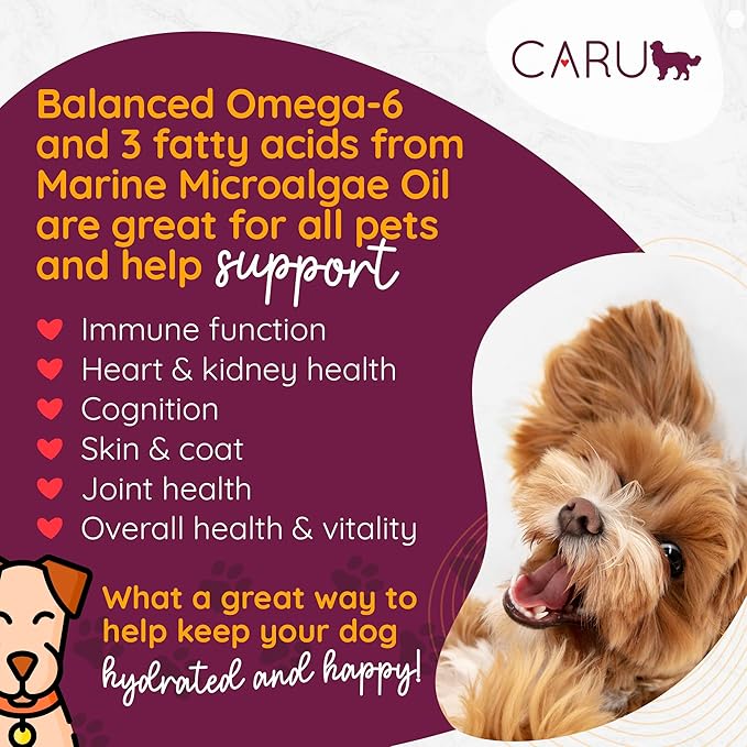 Caru - Classics Turkey with Lamb Stew for Dogs - Healthy Wet Dog Food or Food Topper - Balanced Omega Blend - 12.5 oz Cartons - Pack of 4