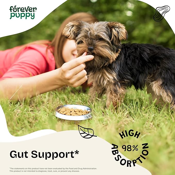 Slippery Elm Tincture for Dogs - Gut Support w/Slippery Elm Bark - Soluble Fiber for Dogs of All Breeds & Sizes - Slippery Elm Digestive Dog Drops - Natural Dog Food Supplements - 2 oz