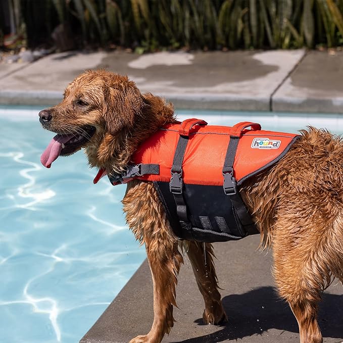 Outward Hound Granby Splash Orange Dog Life Jacket, Large