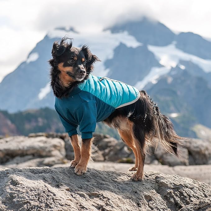 Furhaven Water-Repellent Small Dog Coat, Washable w/ Leash Access & Stretch Fabric - Pro-Fit Active Jacket - Aquamarine, Small