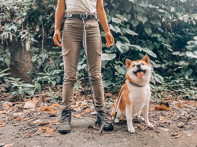 Tuff Pupper Heavy Duty Hands Free Dog Leash | One Small/Medium Dog Up to 45 lbs | Comfortable Shock Absorbing Bungee | Reflective Padded Handles | Lumbar Waist Belt 22-45" | Jogging Running Leash