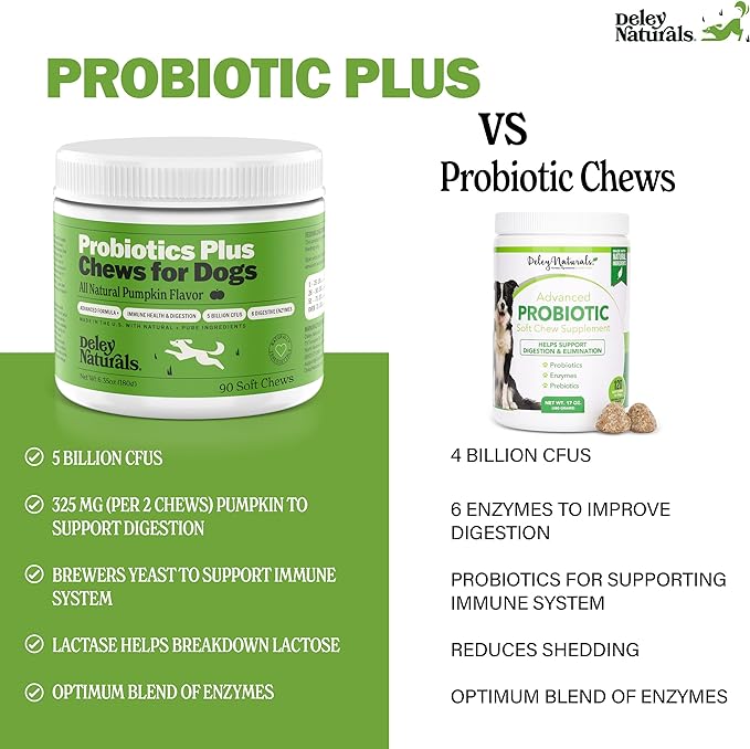 Deley Naturals Probiotics Plus Chews for Dogs, Gut Health Supplement, 5 Billion CFU's, Digestive Enzymes, Prebiotics, Dog Allergies, Diarrhea, Yeast, Pumpkin Flavor, 90 Count - Made in The USA