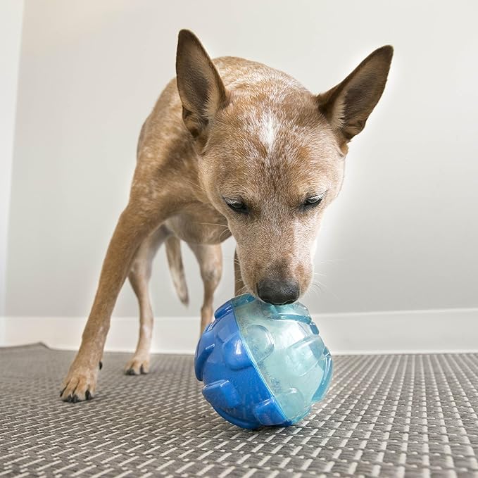 KONG - Rewards Ball - Ultra Durable Interactive Treat Dispensing Dog Toy - for Large Dogs