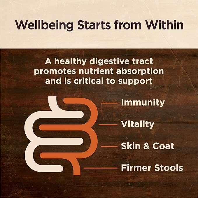 Wellness CORE Digestive Health Lamb Grain Free Wet Dog Food, 13 Ounce (Pack of 12)