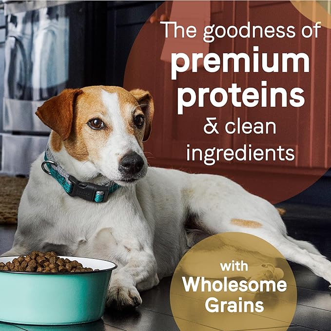 CANIDAE Pure Grain Free Adult Dry Dog Food, Real Salmon & Barley, 22 lbs.