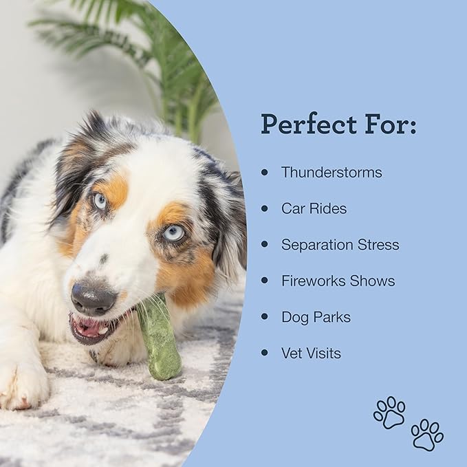 Kradle Soft Chew Variety Pack of 3 - Daily Dental Bones, Skin Health Chews & Stress-Relief Support for Dogs - Calming Chews with Soothing Ingredients - for All Dog Breed & Sizes - 30 Chews, 3 Pack