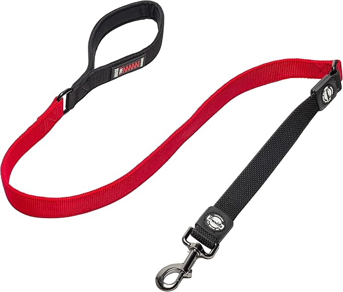 Nylon Dog Leash with Shok-Tek Bungee – Reflective – Franklin Pet Supply Co – Comfort – Neoprene Handles – Shok-Tek Bungee System – 4 Foot – Dog Training – Walking - Red