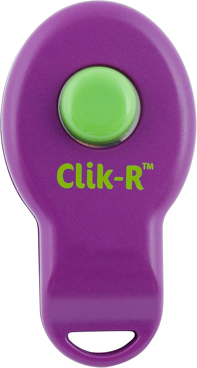 PetSafe Clik-R Dog Training Clicker - Positive Behavior Reinforcer for Pets - All Ages, Puppy and Adult Dogs - Use to Reward and Train - Training Guide Included - Purple