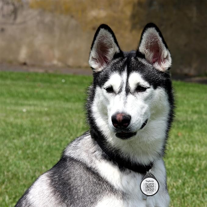 2 Pack - QR Code Pet ID Dog cat Tags for Collar Personalized for Pet Online Profile - Scan QR Receive Instant Pet Location Alert Email, Anti-Lost,No Subscription fees (Blue&Black, for Dog - 1.2")