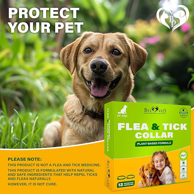 Natural Flea & Tick Collar for Dogs - 6 Months Control of Best Prevention & Safe Treatment - Anti Fleas and Ticks Essential Oil Repellent (1 Pack, 2 Count)