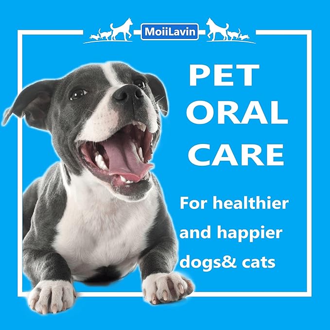 Pet Toothbrush for Small to Large Dogs Cats,Soft High Grade Finger Toothbrush,Teeth Oral Cleaning,Dental Care, 1 Set for Two Fingers White (12)