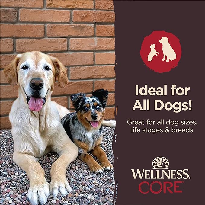 Wellness CORE Power Packed Dog Treats (Previously Pure Rewards), Grain-Free Tender Jerky Treats, Made in USA (Beef Recipe, 4-Ounce Bag) (Pack of 2)