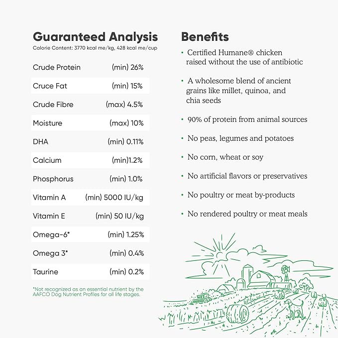 Open Farm Ancient Grains Dry Dog Food, Humanely Raised Meat Recipe with Wholesome Grains and No Artificial Flavors or Preservatives (Harvest Chicken Ancient Grain, 22 Pound (Pack of 1))
