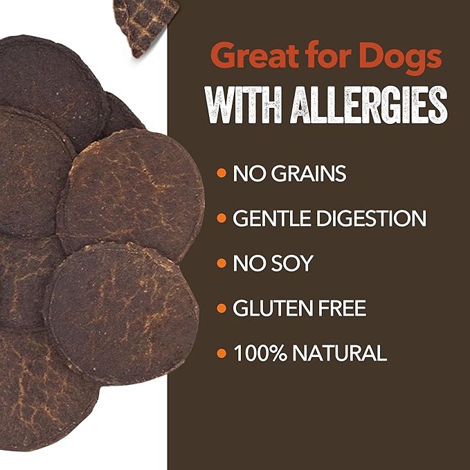 Gaines Family Farmstead Beef Chips for Dogs, All-Natural, Grain-Free, Soy-Free, Dye-Free, Healthy Dog Treats for All Ages & Breeds, Puppies, Made in USA, 6 oz