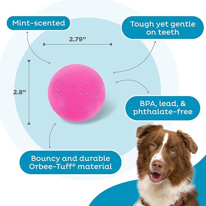 Outward Hound Orbee-Tuff Squeak Ball Pink Dog Fetch Toy