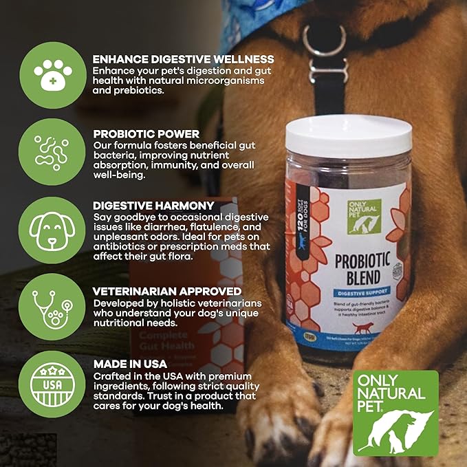 Only Natural Pet Probiotic Dog and Cat Supplement - Digestive & Gut Health Enzyme Formula, Puppy & Canine Digestive Chews, Best for Stomach Relief & Gas Aid - Soft Chews, 120 Count.