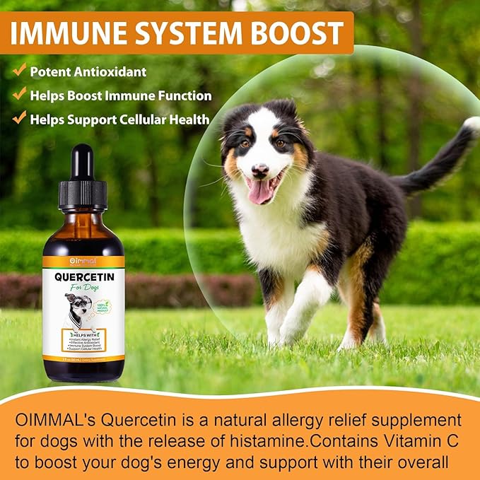 Quercetin for Dogs, Dog Quercetin with Vitamin C Supports Dogs Allergy Relief, Support Balanced Immune System, Pet Supplement Quercetin for Dog Allergies, Bacon Flavor - 1 Pack 60ml / 2.02oz
