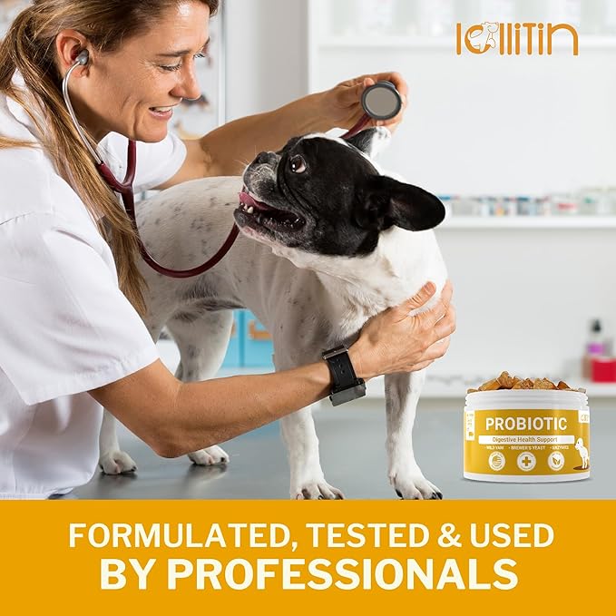 Probiotics for Dogs - Support Gut & Digestive Health, Immune Support - All Nautral Prebiotics, Fiber, Enzymes for Gut Flora - Diarrhea & Bowel Support - Bacon Flavor, 120 Chews, by Lollitin