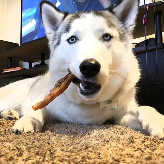 Pupford Thick Bully Sticks for Dogs & Puppies, Smoked for Improved Smell, Natural, Long-Lasting, Single Ingredient Chews for Small & Medium Breeds (6", 10 Count)