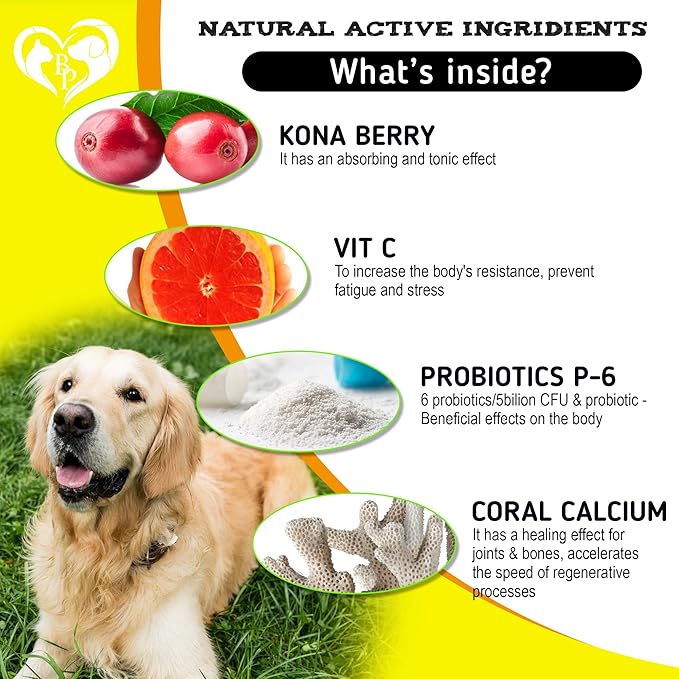 Dog Anti Itch & Allergy Relief Chews - Dry Itchy Skin & Hot Spot Treatment with Probiotic, Omega 3 Oil- Immune Supplement & Seasonal Allergies Medicine for Dogs, Puppy - 140 Bites Made in USA