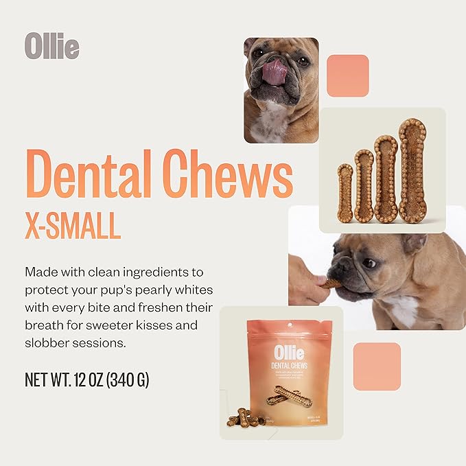 Ollie Dental Chews for Dogs XS- Dog Breath Treats - Dog Teeth Cleaning Treat - Dental Sticks for Dogs - Fresh Breath for Dogs - Dental Treats for Dogs - Dog Dental Care - 12 Oz.