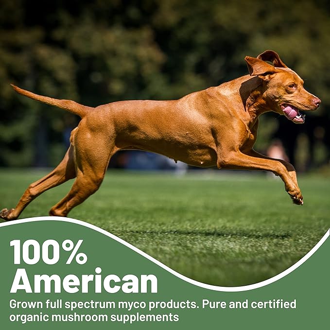 K9 Immunity, Immune Support Supplement for Dogs, Organic and Mushroom Enhanced Dog Health Supplies, Pack of 4, 90 Capsules Each