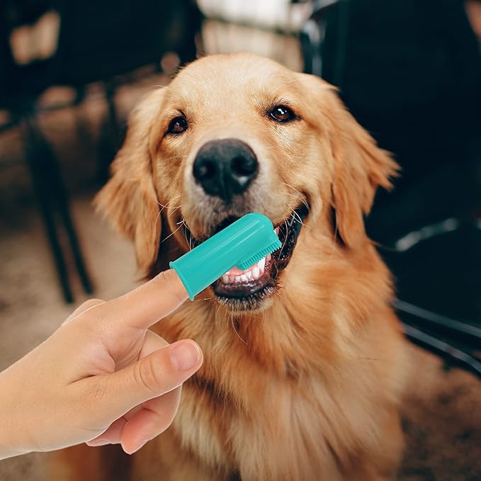H&H Pets Dog Toothbrushes and Toothpaste Best Professional Cat & Dog Finger Toothbrush, Dog Toothpaste Series with Many Size Options