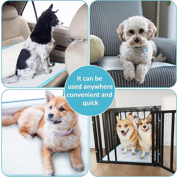 Super Absorbent & Leak-Proof Jumbo Size 36"x36" Pet Training Dog Pee Pads, Thicken Quick Dry Disposable Puppy Pee Pads, Potty Training Pads for Dogs Cats, Rabbits