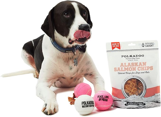 Polkadog Crunchy Alaskan Salmon Chips, Dog Treats – 100% Wild-Caught Fish Treat for Dogs, Cats – All-Natural, Grain-Free, Gluten-Free Pet Chips – Single Ingredient Snacks – 4 oz.