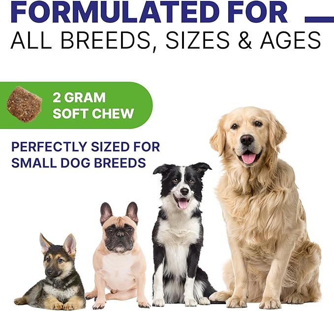 Dog Digestive Support Probiotic Chews - Enzymes, Probiotics, Prebiotics, and Pumpkin for Dogs - Improve Stool Quality and Consistency - Relief from Gas, Constipation, Diarrhea 90ct