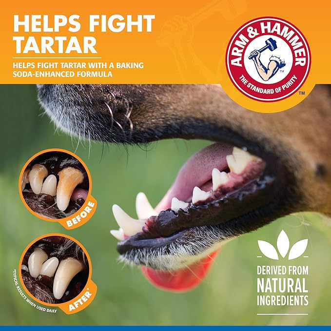 Arm & Hammer for Pets Dental Water Additive for Dogs, Tartar Control | Dog Dental Care Reduces Plaque & Tartar Buildup Without Brushing | 16 Fl Oz (Pack of 1), Odorless and Flavorless