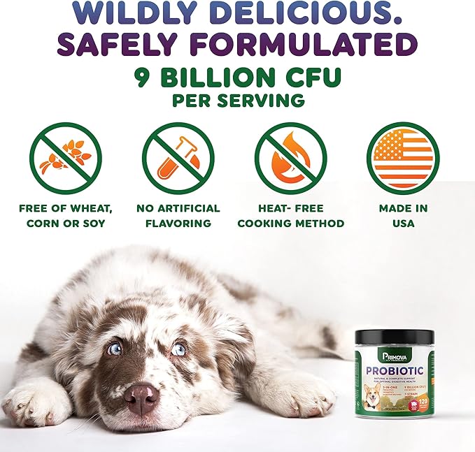 Probiotic Dog Chews for Dog Digestive Enzymes - Dog Diarrhea & Natural Allergy Relief - Puppy Probiotic Chews - Dog Allergy Chews - Pack of 120 Chews