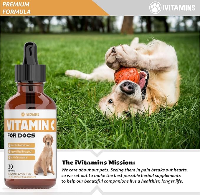 Vitamin C for Dogs | Helps with Improving Immune Health | Vitamin C for Dogs Liquid | Dog Immune Support | Dog Immune and Allergy Supplement | Dog Immune Booster | 1 oz Bacon Flavor
