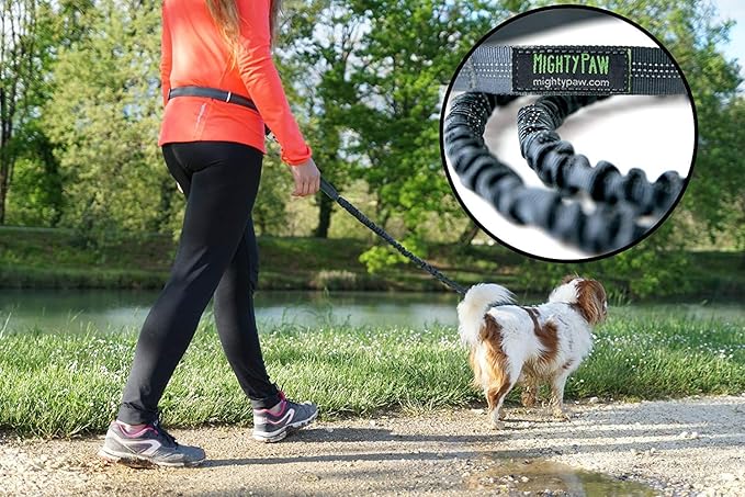 Mighty Paw Hands Free Dog Leash | Bungee Waist Leash for Dog Walking. Dog Running Leash Hands Free. Hands Free Leash for Large Dogs, Medium & Small Dogs. Dog Leash Waist Belt (36" - 48") Up To 150 lbs