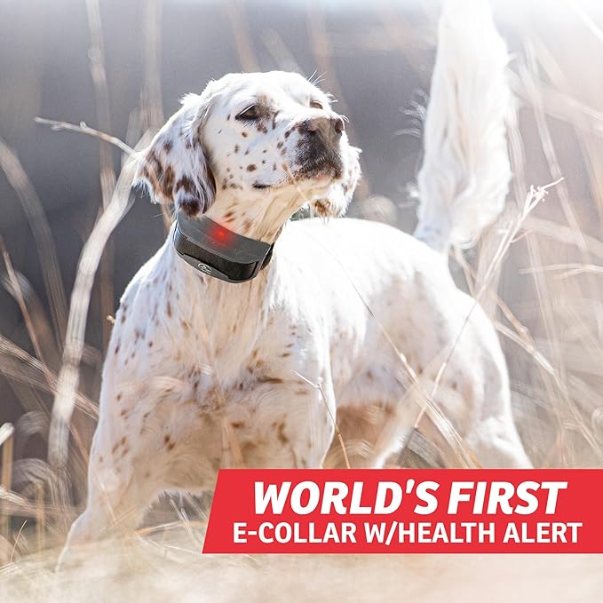 SportDOG Brand FieldSentinel 1825 2-Dog Shock Collar for Dogs with Bodyguard Health Alerts – World’s First E-Collar w/ Health Monitoring – 1 Mile Range - Train with Shock, Vibrate, and Tone