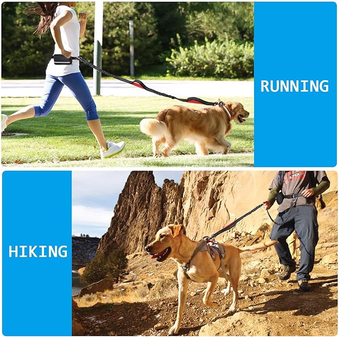 Hands Free Dog Leash with Zipper Pouch, Dual Padded Handles and Durable Bungee for Walking, Jogging and Running Your Dog, Waist Belt Dog Leash, Reflective Running Traction (Red)