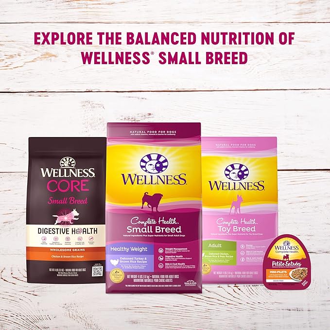 Wellness Petite Entrees Mini Filets Grain Free Natural Wet Small Breed Dog Food, Roasted Chicken & Beef, 3-Ounce Cup