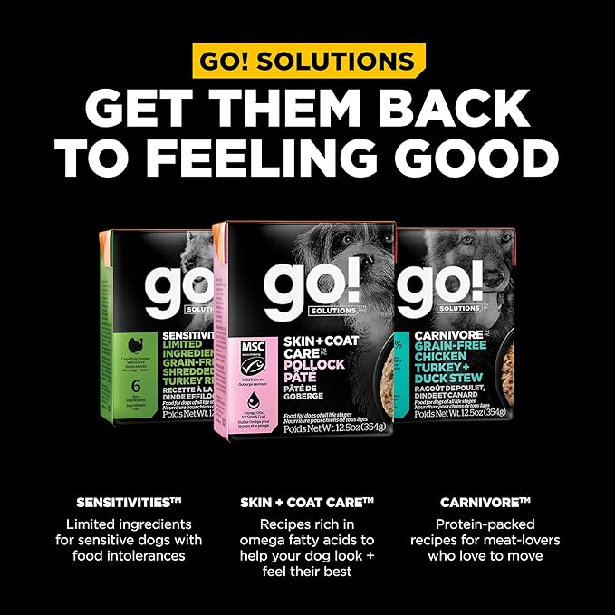 GO! SOLUTIONS Skin + Coat Care Wet Dog Food - Pollock Pâté with Grains - Complete & Balanced Nutrition for All Life Stages, 12.5 oz