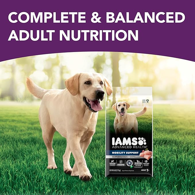Advanced Health Mobility Support Chicken and Whole Grain Recipe Adult Dry Dog Food, 6 lb. Bag