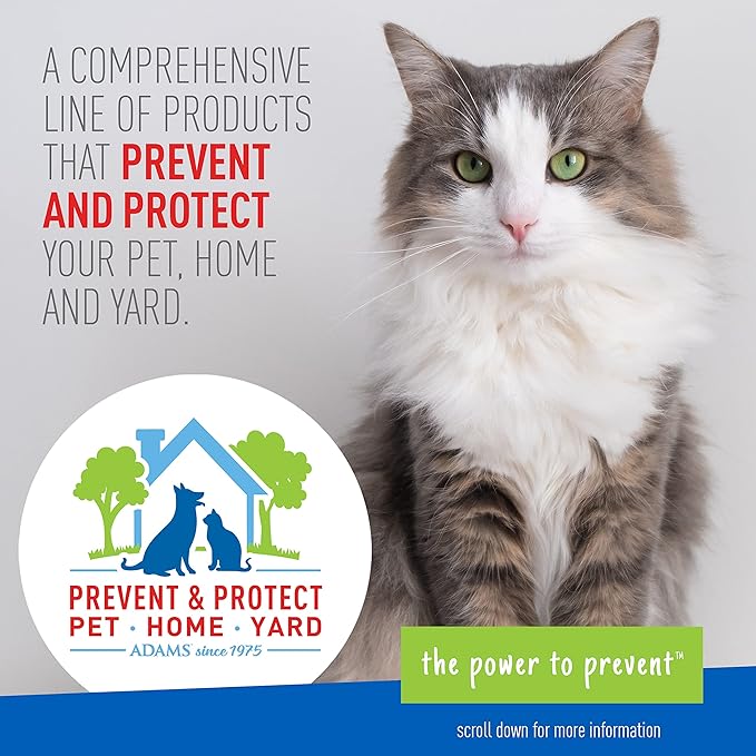 Adams Plus Flea & Tick Collar for Cats | Breakaway Collar | 1 White Collar | 7- Month Protection | Kills & Repels Fleas, Flea Eggs, Flea Larvae and Kills Ticks, Tick Nymphs, and Tick Larvae