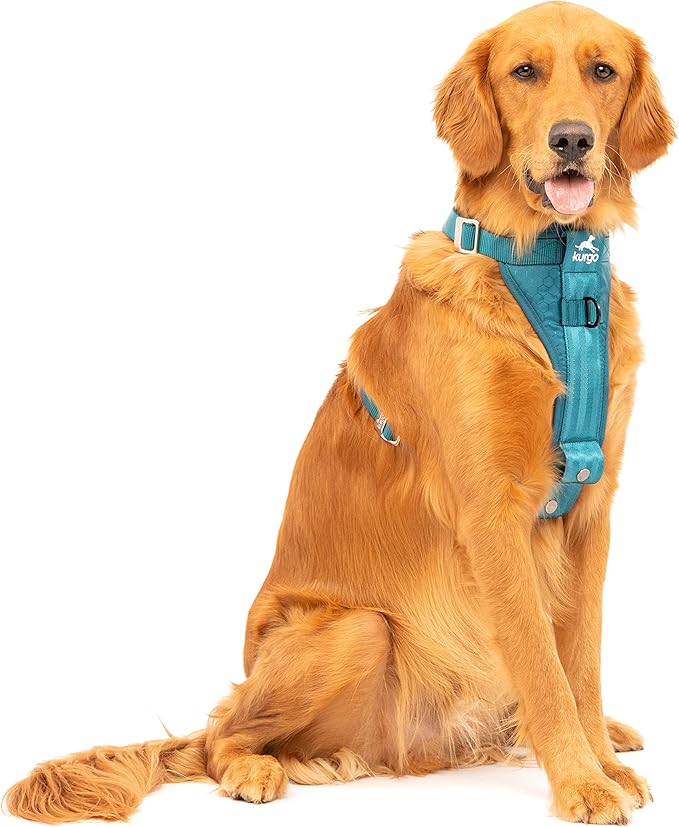 Kurgo Tru-Fit Enhanced Strength Dog Harness - Crash Tested Car Safety Harness for Dogs, No Pull Dog Harness, includes Pet Safety Seat Belt, Steel Nesting Buckles (Ink Blue, X-Large)