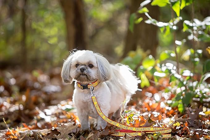 Pets First Collegiate Pet Accessories, Dog Leash, USC Trojans, Small