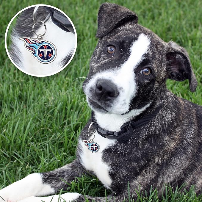 NFL Tennessee Titans Engraving Pet ID Tags in 32 Team Logo Shapes Personalized Dog Tags and Cat Tags with 3 Lines of Customizable Text for Tracking & Safety. Stainless Steel Pet ID Tracking Tags