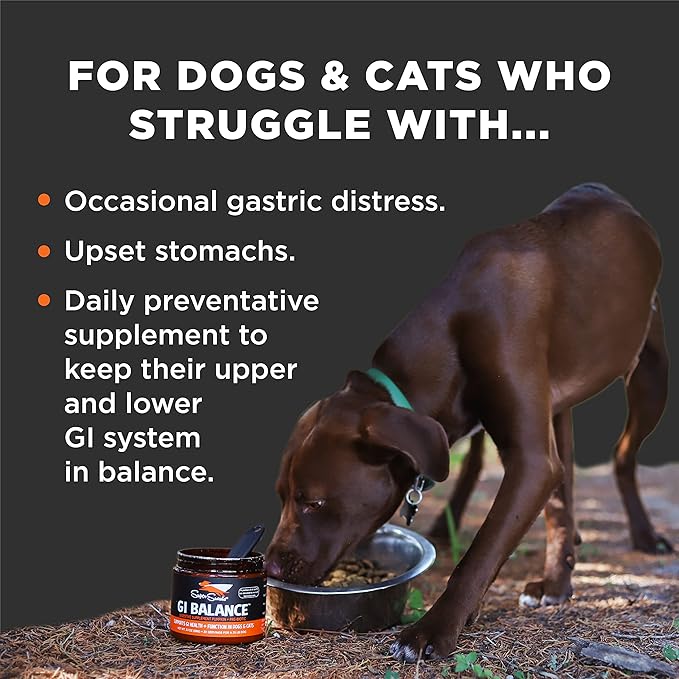 Super Snouts GI Balance Digestive Supplement for Dogs & Cats, 3.1 oz Pumpkin Powder for Dogs & Prebiotic Gut Health, Immune Support
